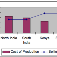 Comparison between production cost and prices of teas of various origins